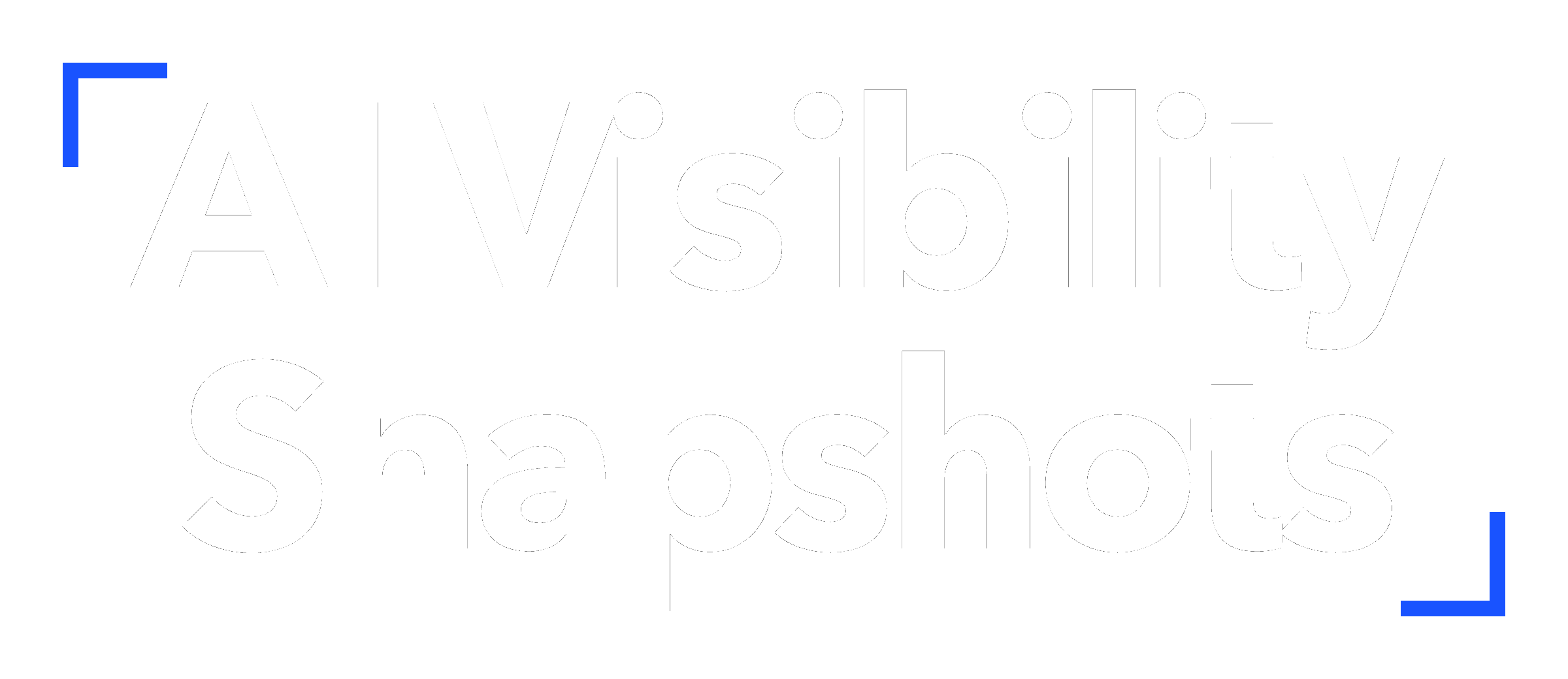 AI Visibility Snapshots