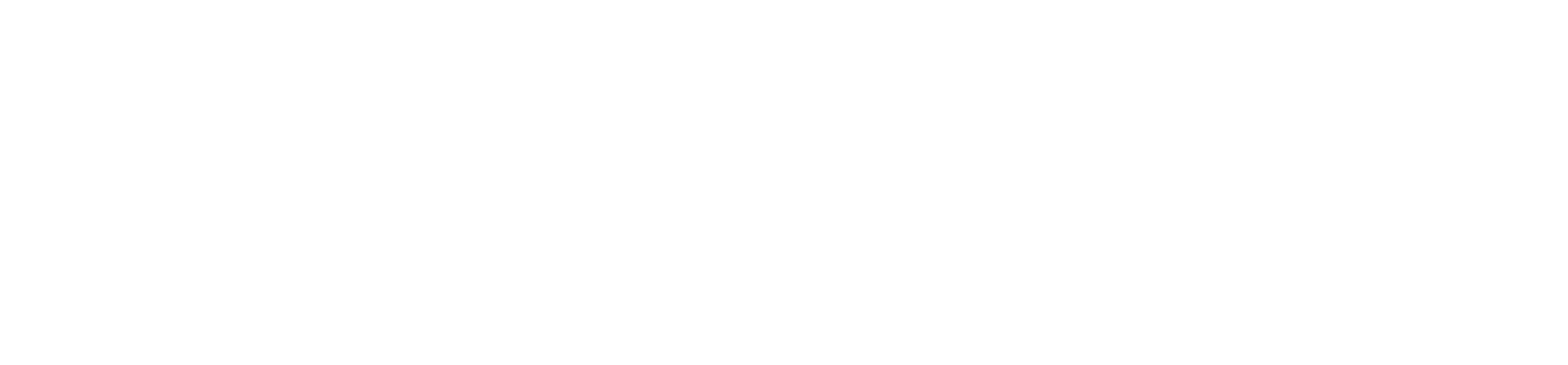 Conversion Media